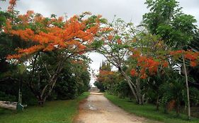 مدينة بليز Orchid Garden Eco-Village Hotel Belize Exterior photo