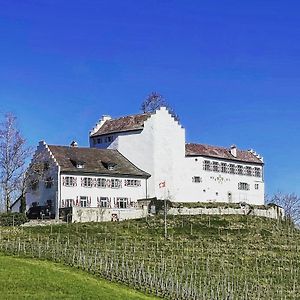 Oberstammheim Hotel & Restaurant Schloss Schwandegg Exterior photo