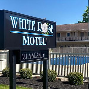 White Rose Motel - هرشي، بنسيلفانيا Exterior photo