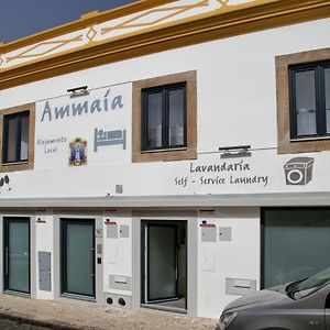 فندق بورتاليغريفي  Ammaia Al Exterior photo