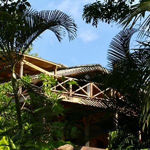 بوكاس تاون Eden Jungle Lodge Exterior photo
