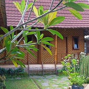 تيتيباتو Mysha Guest House-Lombok Exterior photo