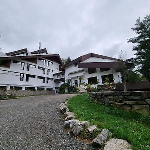 فندق Văliugفي  Randunica Exterior photo