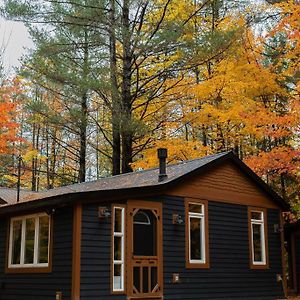 هانتسفيل The Doma Lodge - Cozy Muskoka Cabin In The Woods Exterior photo