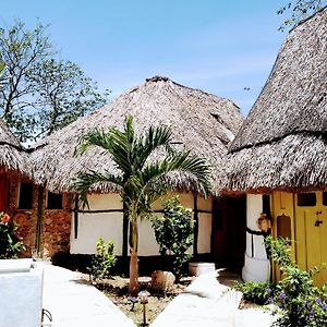 إسامال Casa Maya Tolok - Alberca - Wifi-Starlink - Tour Sustentabilidad Exterior photo