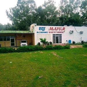 Jind Oyo Mayur Guest House Exterior photo