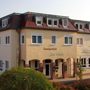 Silz  Hotel Linde Pfalz Exterior photo