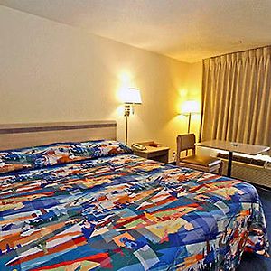 Motel 6 Tampa Downtown Room photo