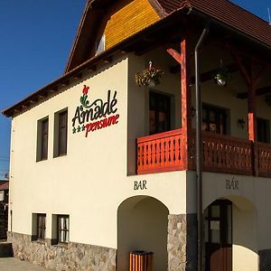 Siculeni Amade Pension & Restaurant Exterior photo