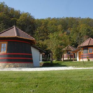 فندق Eko Selo Kostunici Exterior photo