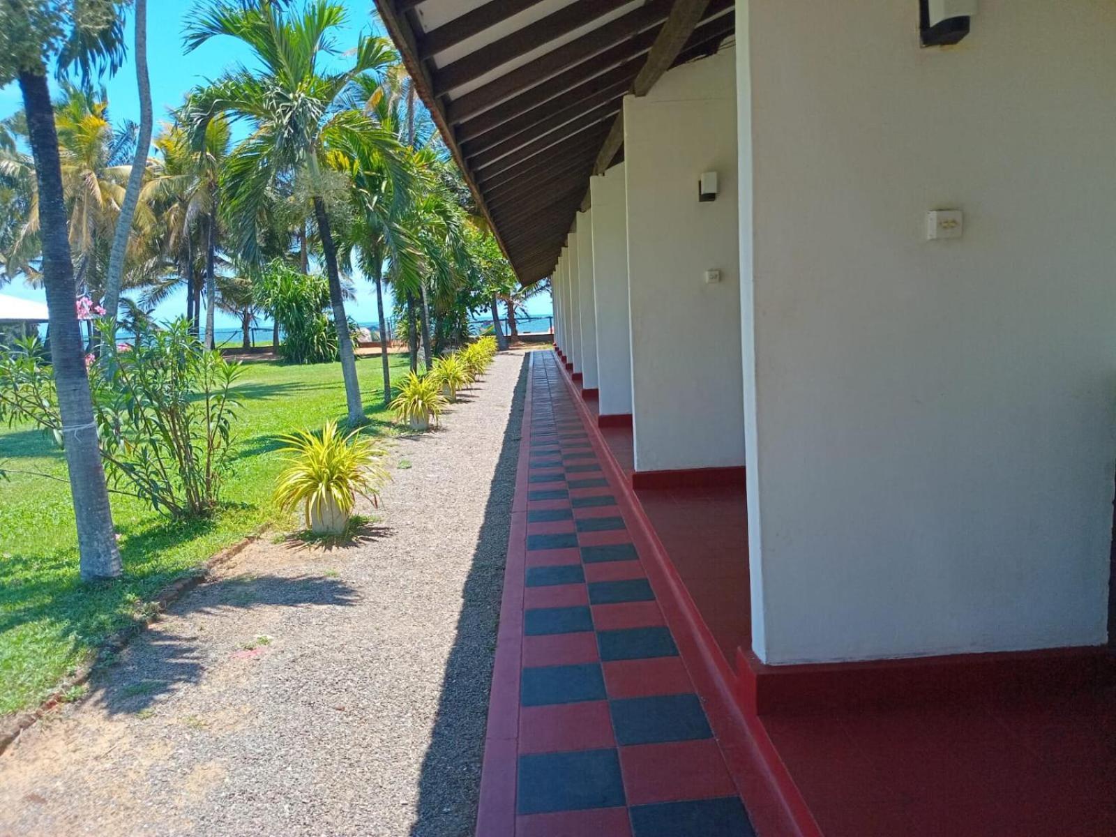 نيجومبو Ceylonica Beach Hotel المظهر الخارجي الصورة