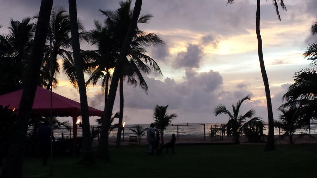 نيجومبو Ceylonica Beach Hotel المظهر الخارجي الصورة