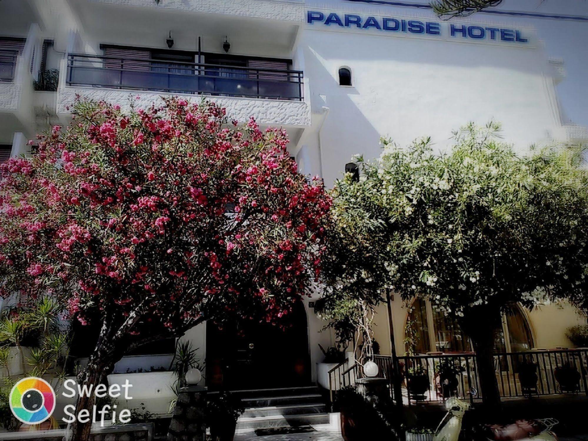 بلدة كوس Paradise Hotel المظهر الخارجي الصورة