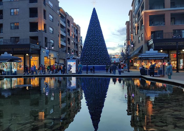 Branson Landing photo