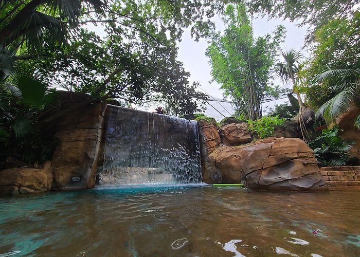 Discovery Cove photo