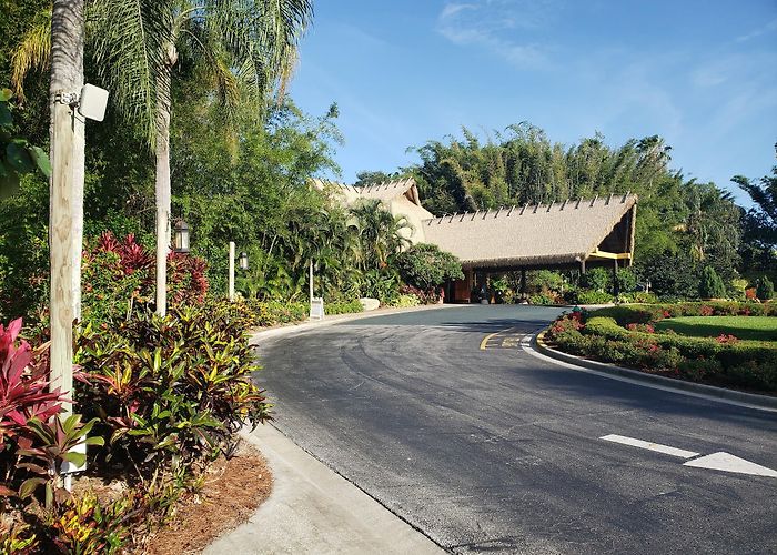 Discovery Cove photo