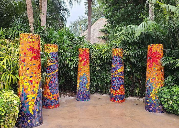 Discovery Cove photo