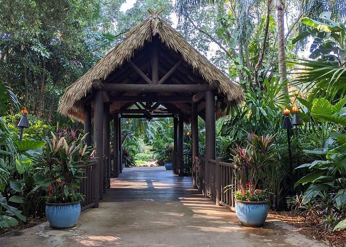 Discovery Cove photo