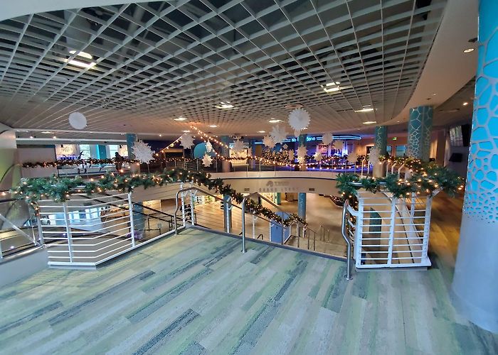 Florida Aquarium photo