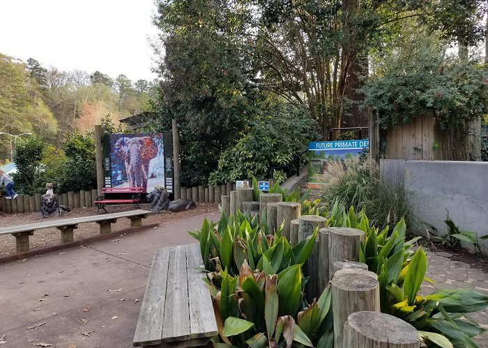 Greenville Zoo photo