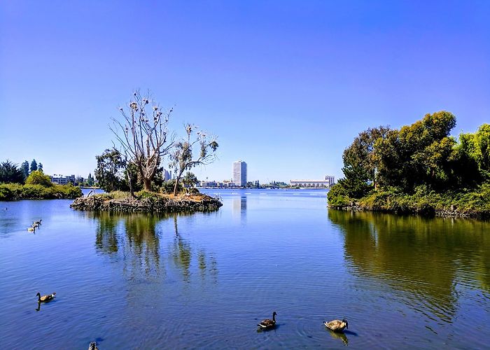 Lake Merritt photo