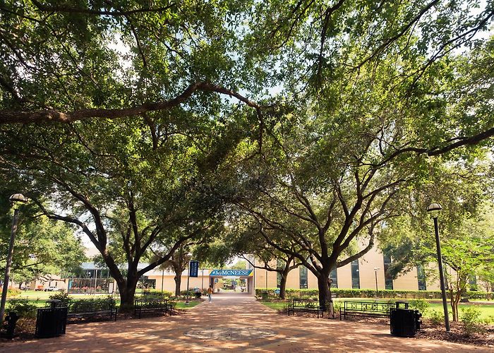 McNeese State University photo
