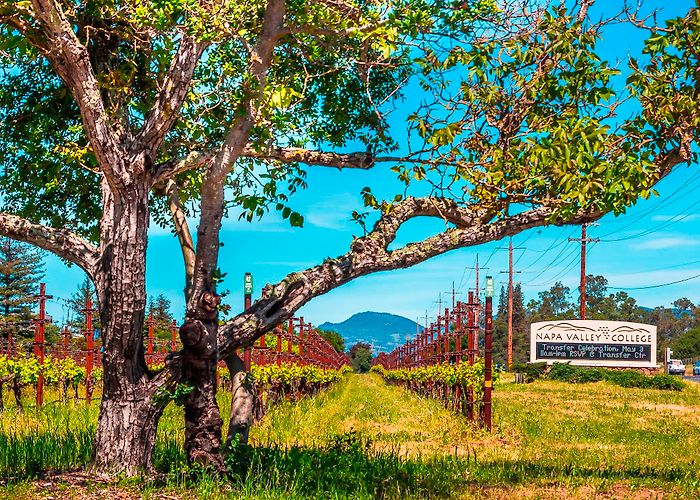 Napa Valley College photo