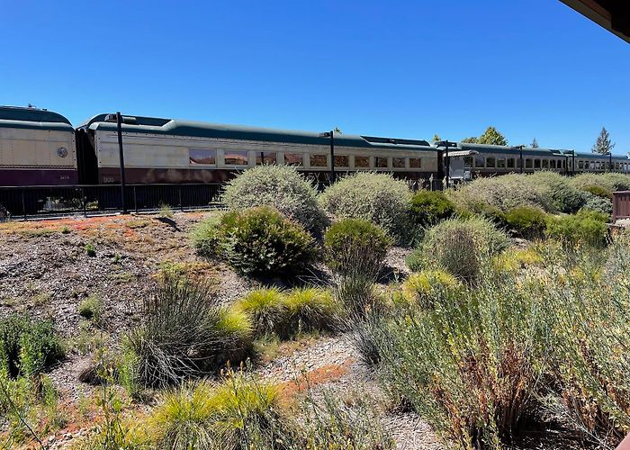 Napa Valley Wine Train photo