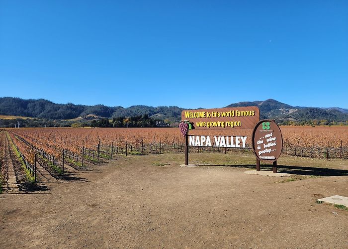 Napa Valley Wine Train photo