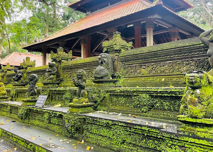 Ubud Monkey Forest photo