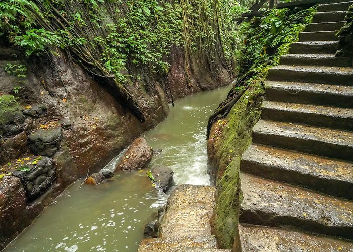 Ubud Monkey Forest photo