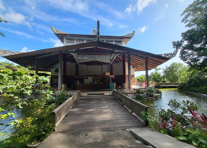 Ubud Monkey Forest photo