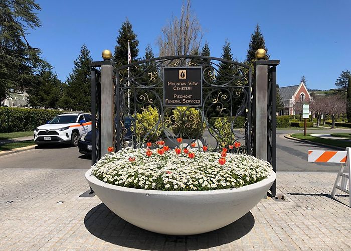 Mountain View Cemetery photo