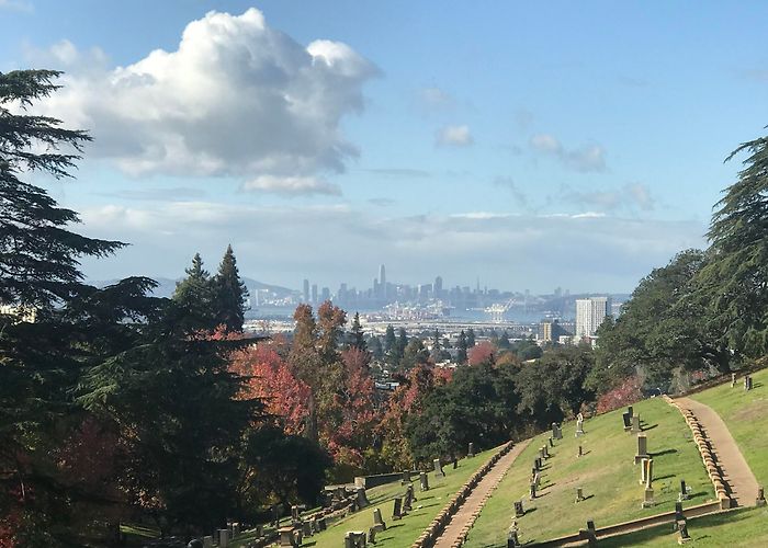 Mountain View Cemetery photo