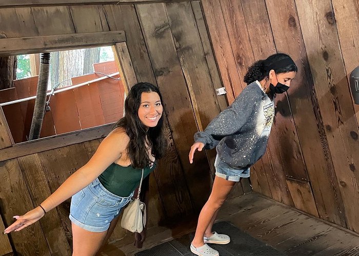 The Mystery Spot photo