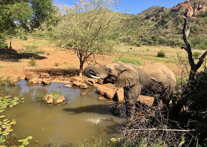 Pilanesberg National Park photo
