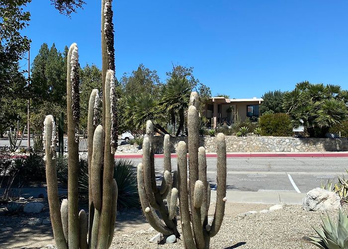 Pitzer College photo