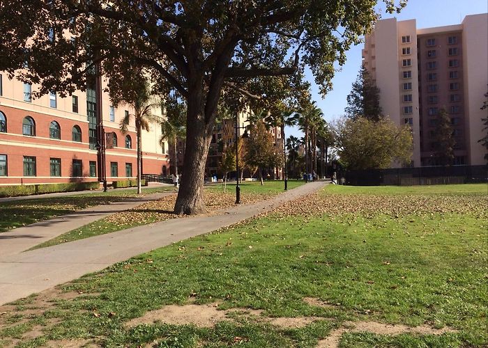 San Jose State University photo