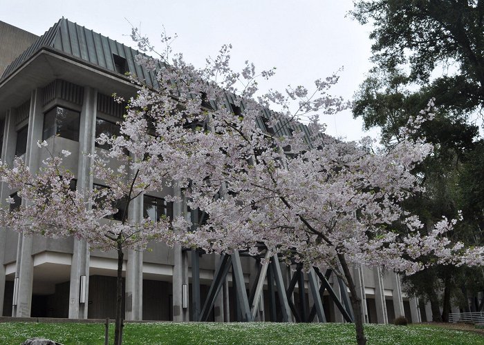 University of California, Santa Cruz photo