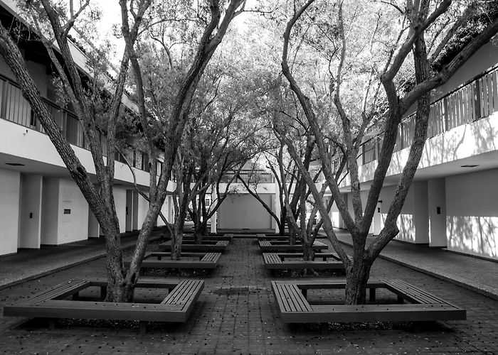 Scripps College photo