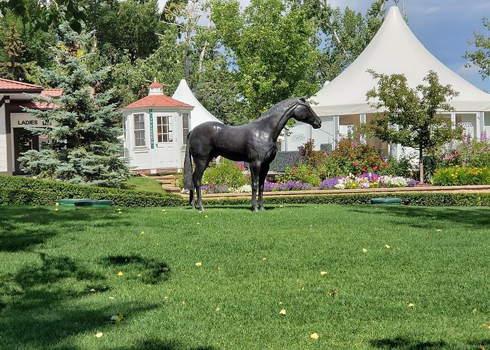 Spruce Meadows photo