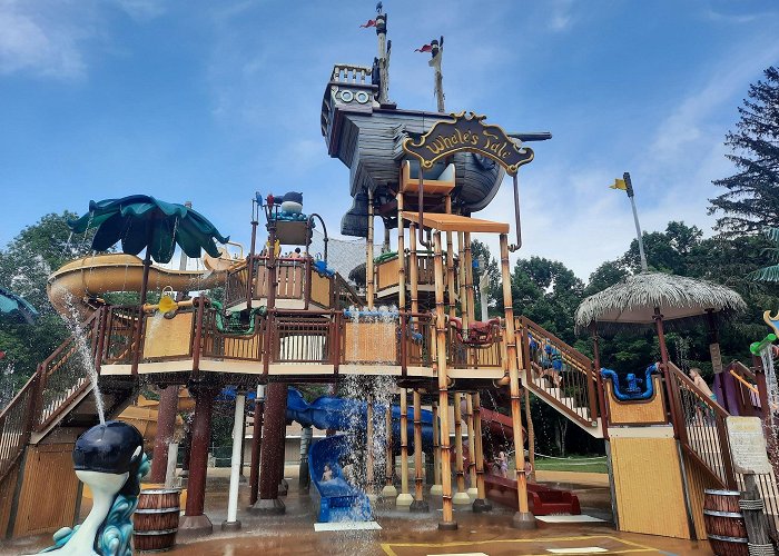 Whale's Tale Waterpark photo