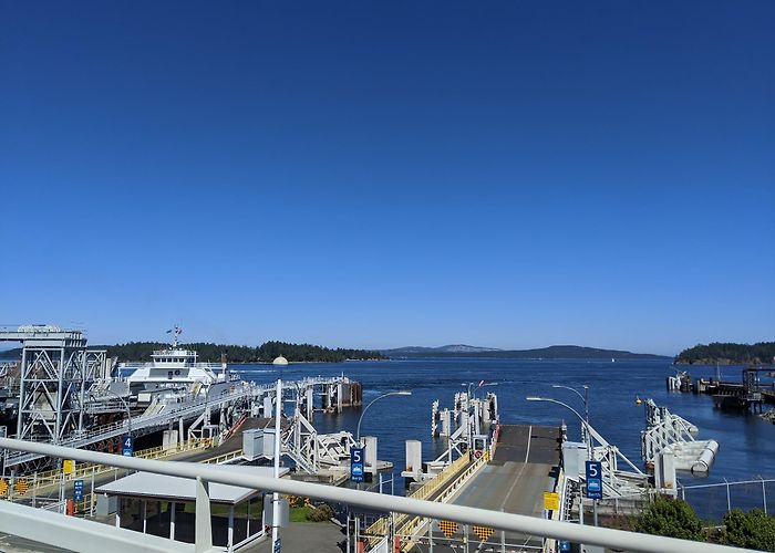 Swartz Bay Ferry Terminal photo