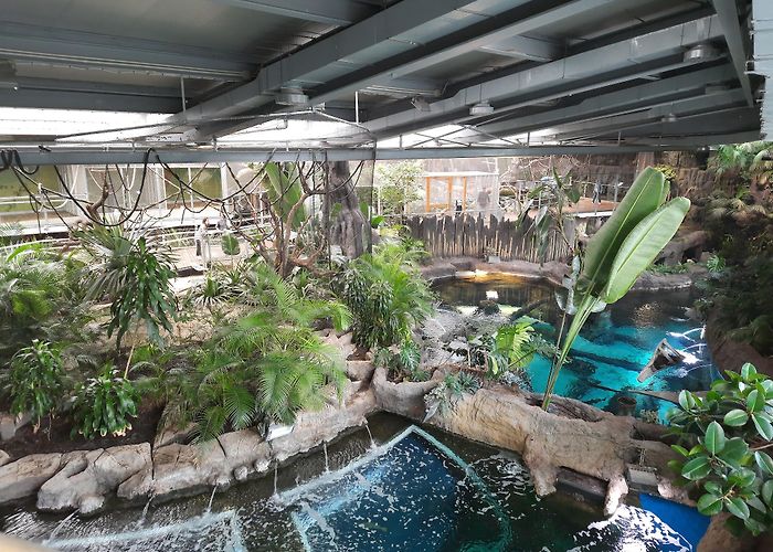 Parque de las Ciencias photo