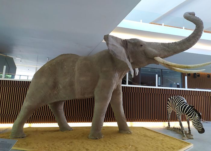 Parque de las Ciencias photo