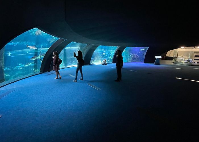 Parque de las Ciencias photo