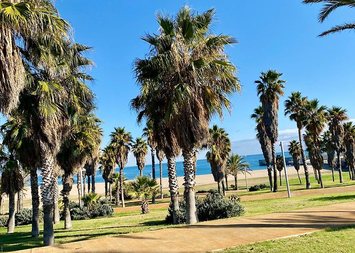 Parc del Forum photo