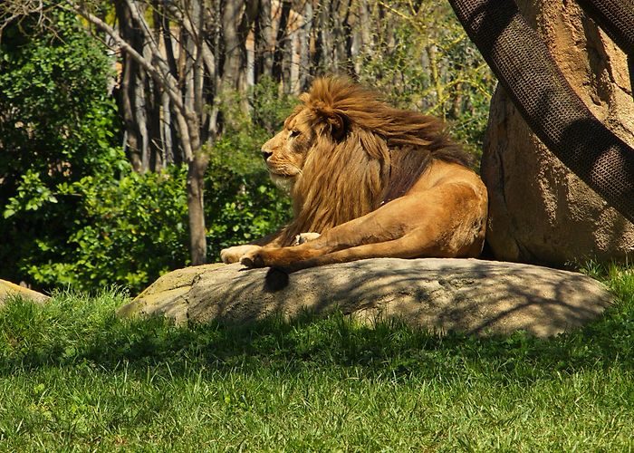 Bioparc Valencia photo