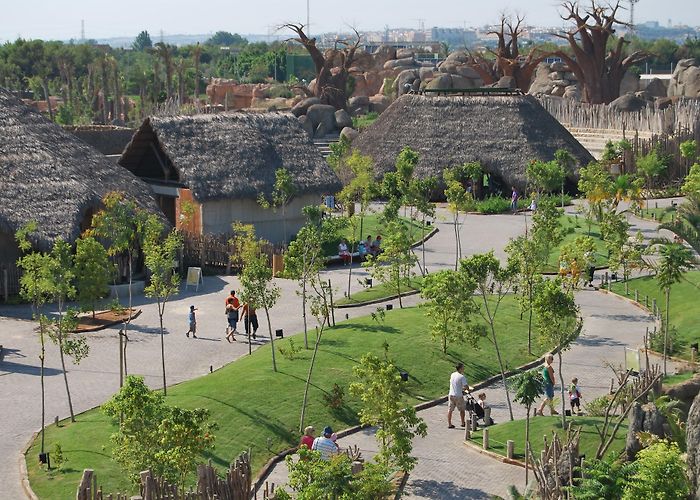 Bioparc Valencia photo