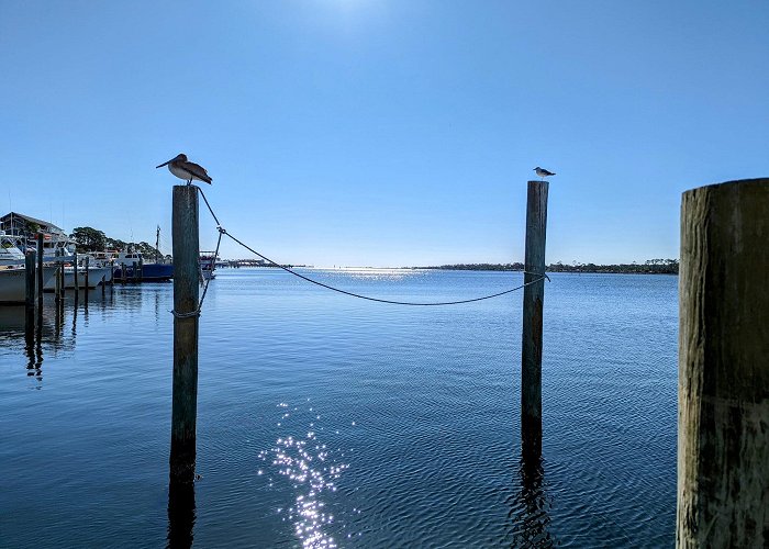 Captain Anderson's Marina photo